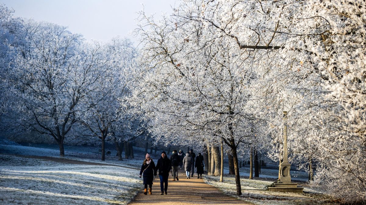 Čeká nás mrazivý týden, k ránu bude až -7 °C